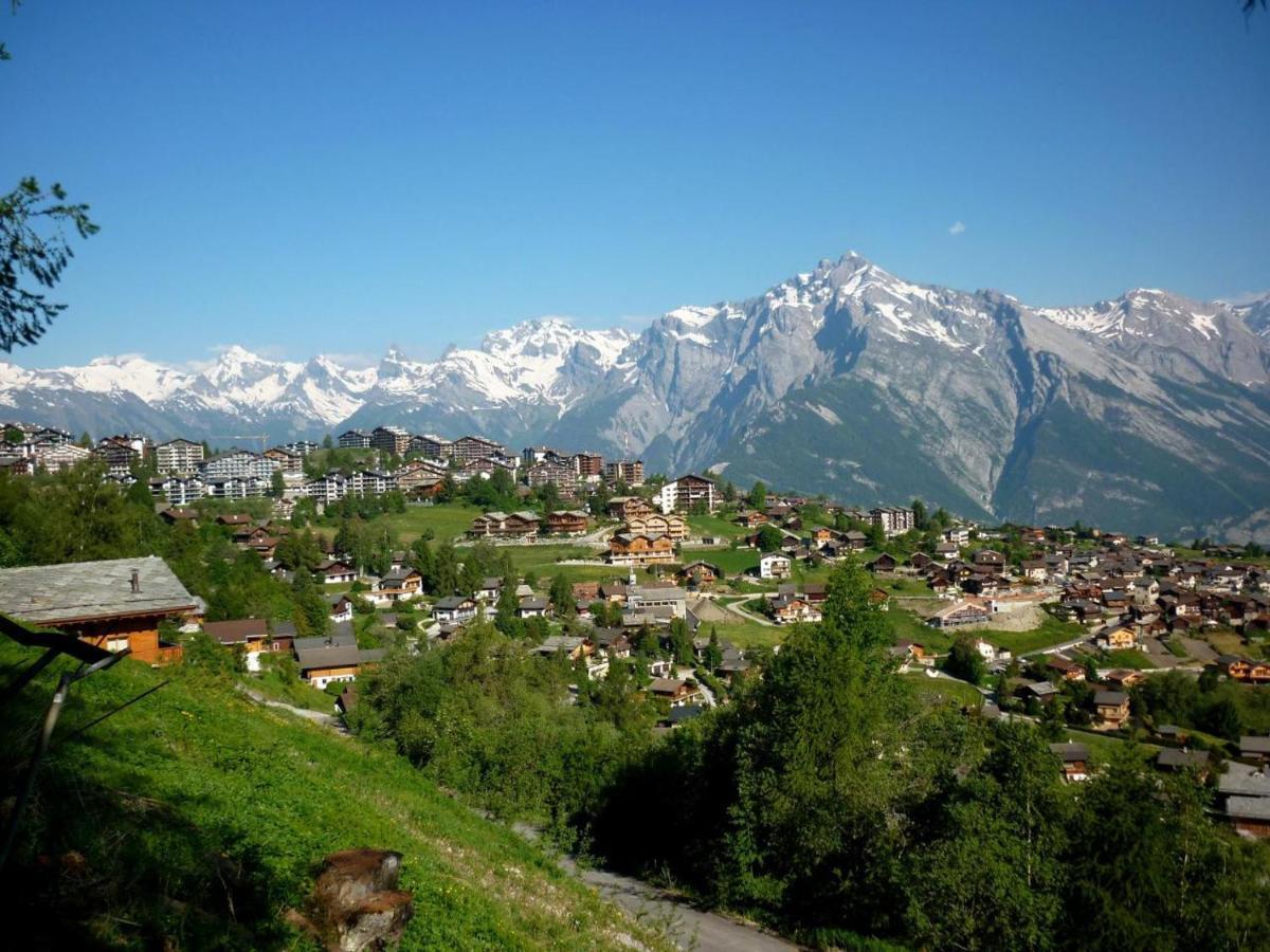 Pracondu 1 Outdoor & Fun Appartement 1 Chambre Superieur Avec Balcon By Alpvision Residences Nendaz Exterior foto